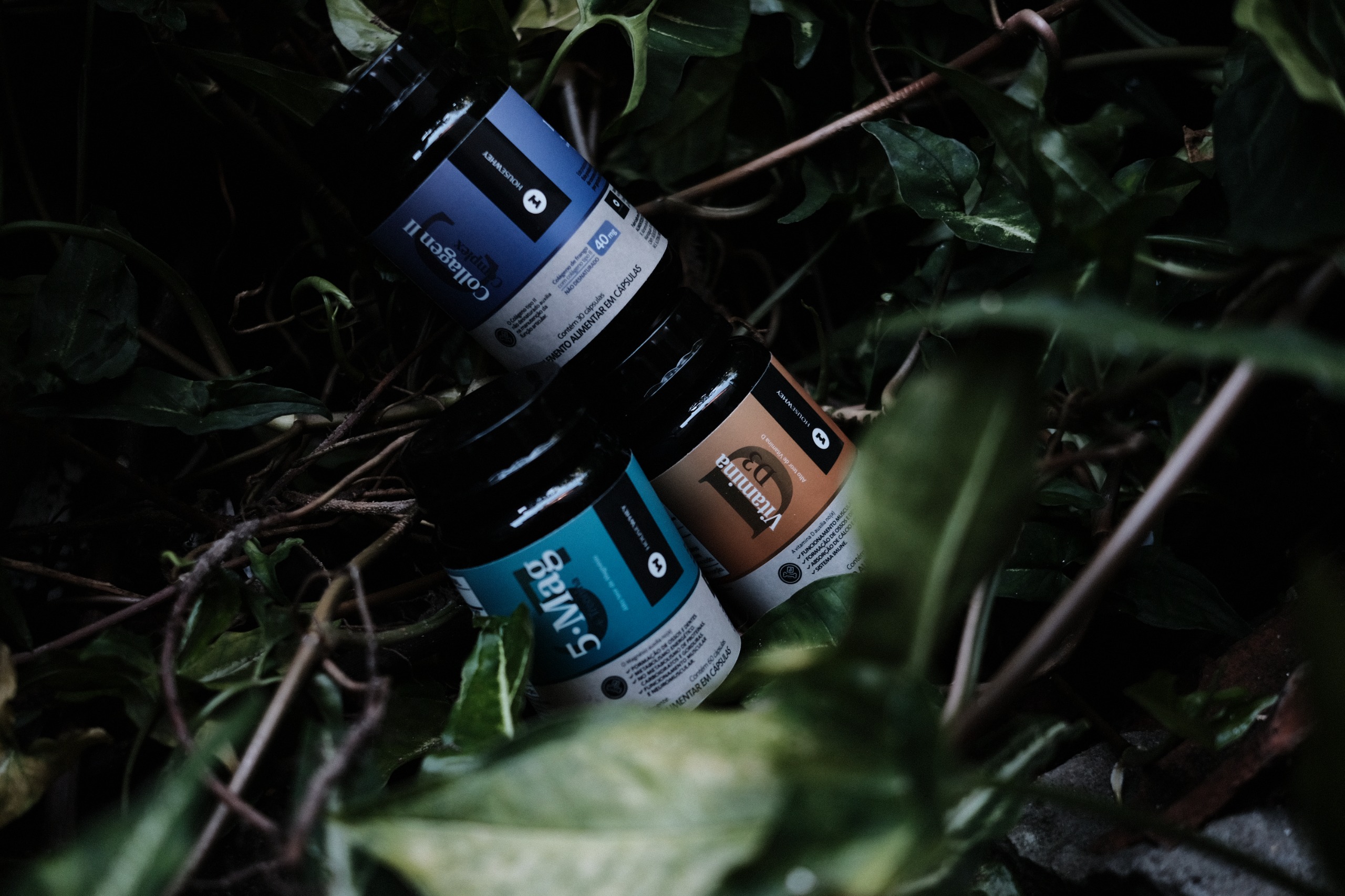 7f25ea25-51d2-4f7b-a45b-5a568d8f1385