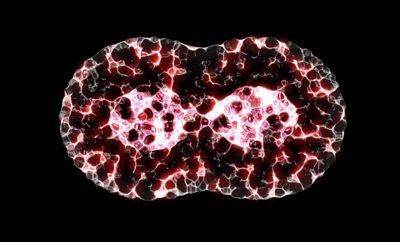 Design sem nome (12)